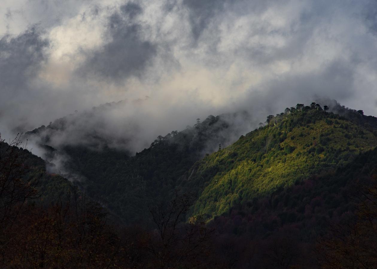 Villa Parque Amavida Malalcahuello Esterno foto